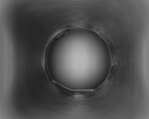 X0000100910052200806241322