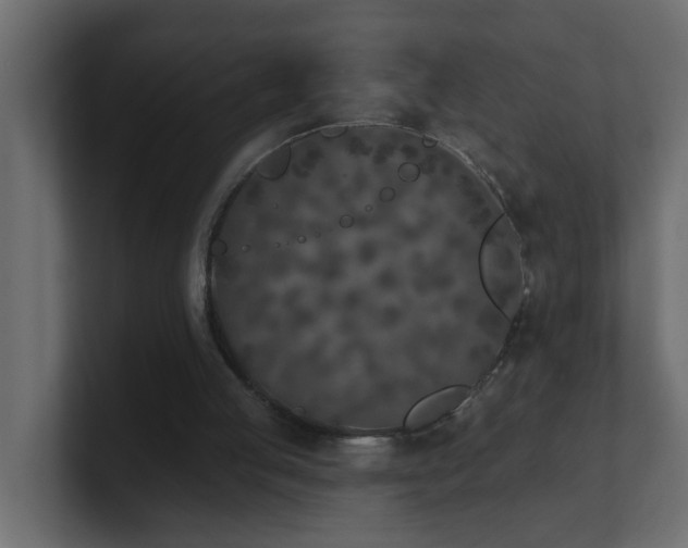X0000100910053200806241322