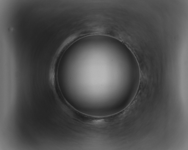 X0000100910054200806241322