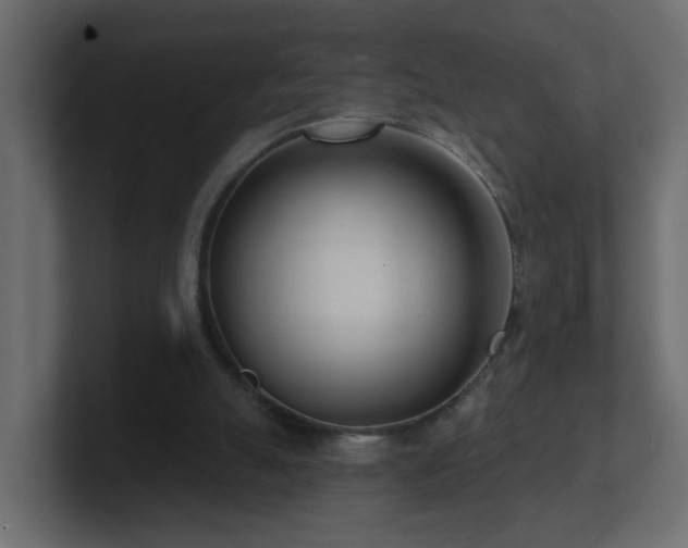 X0000100910055200806241322