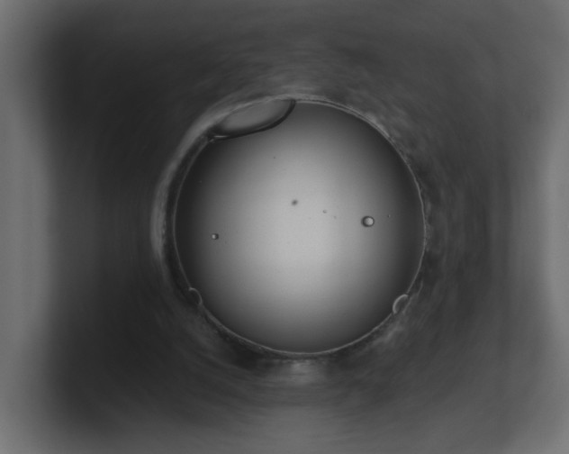 X0000100910056200806241322