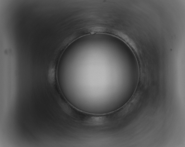 X0000100910057200806241322