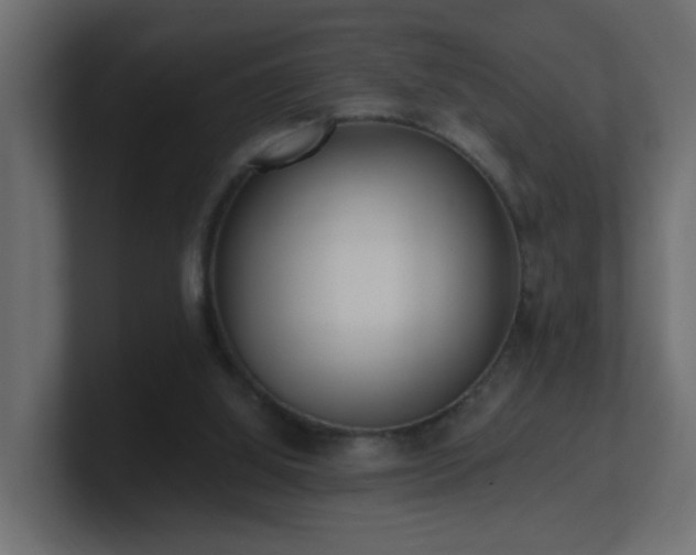 X0000100910060200806241322
