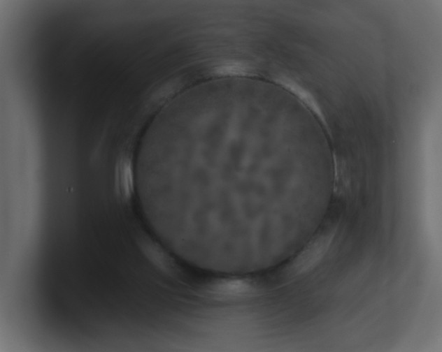 X0000100910061200806241322