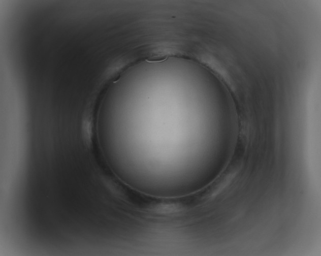 X0000100910063200806241322