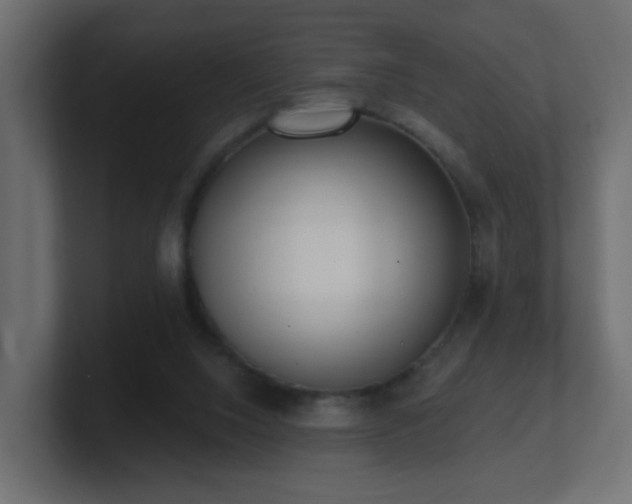 X0000100910064200806241322
