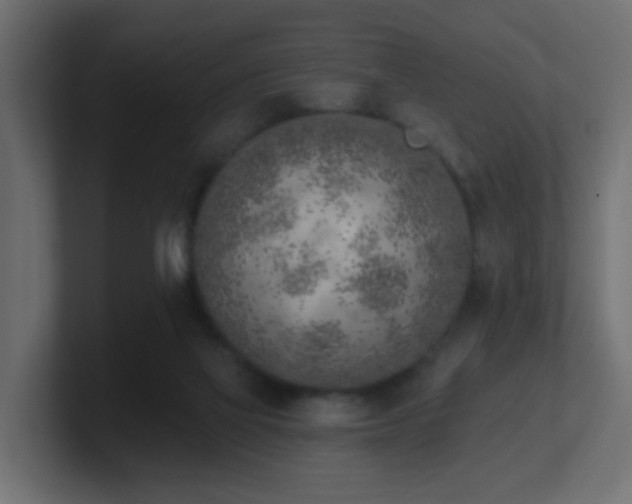 X0000100910069200806241322