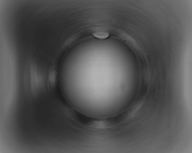 X0000100910071200806241322