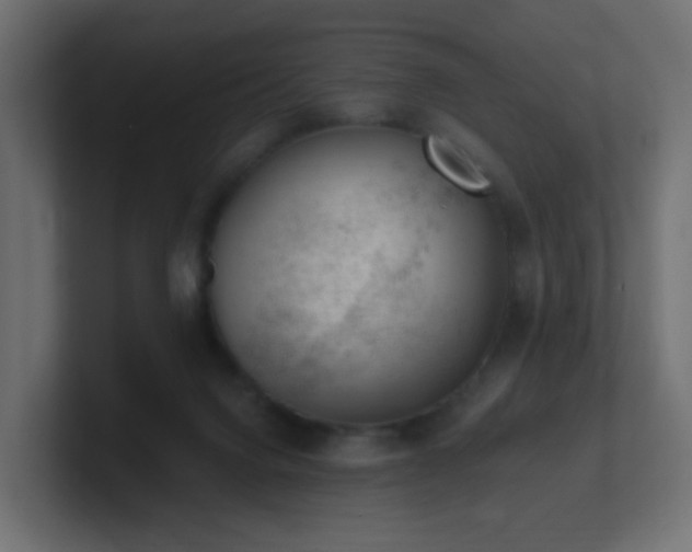 X0000100910072200806241322