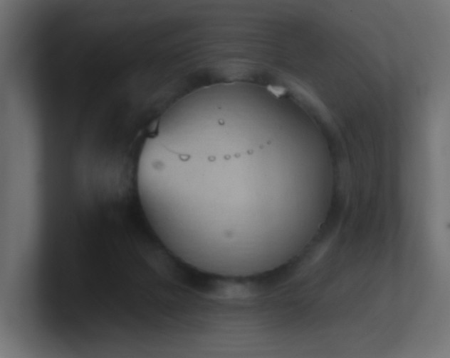 X0000100910073200806241322