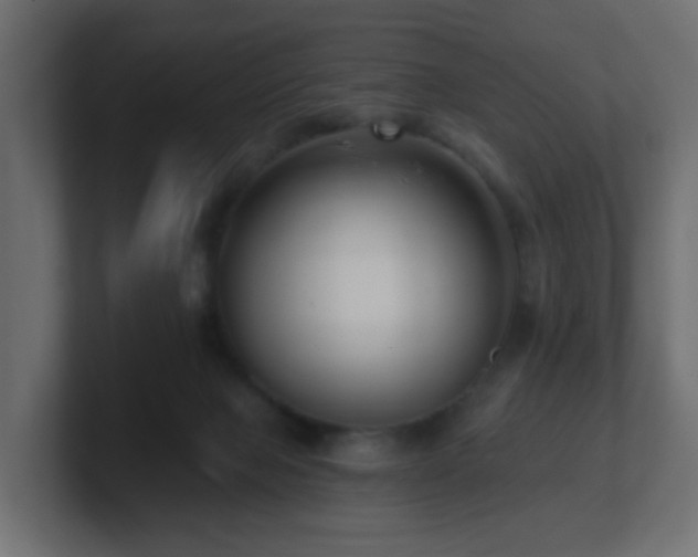 X0000100910077200806241322
