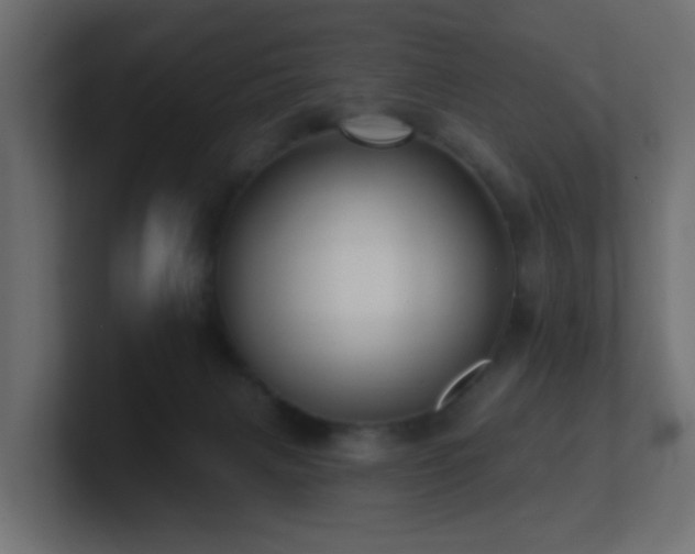 X0000100910079200806241322