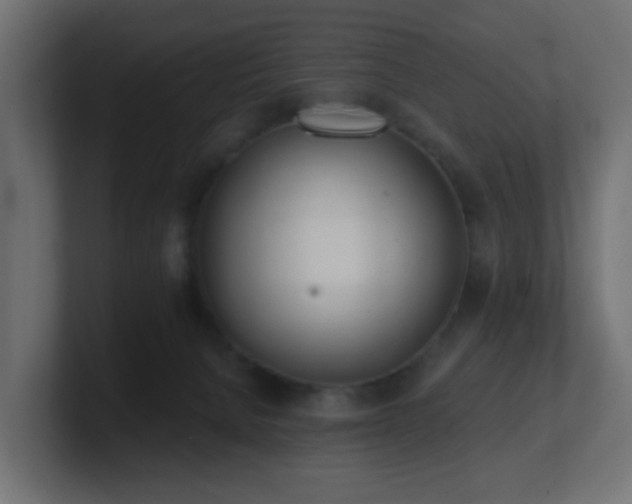 X0000100910080200806241322