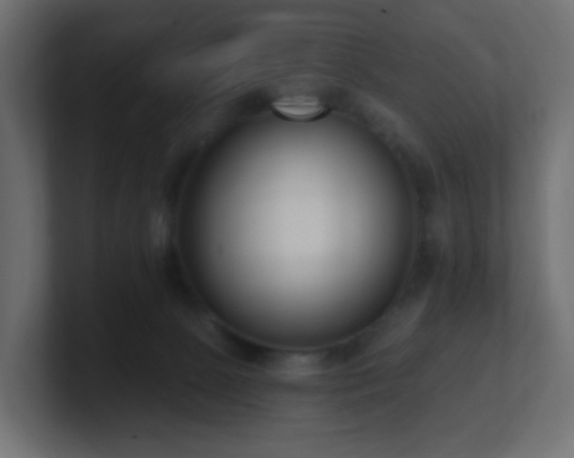 X0000100910081200806241322