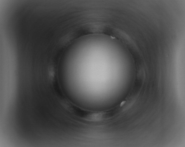 X0000100910084200806241322