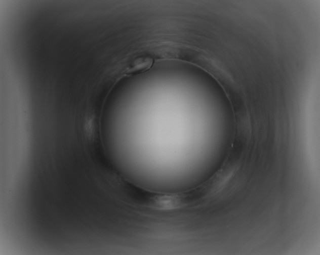 X0000100910088200806241322