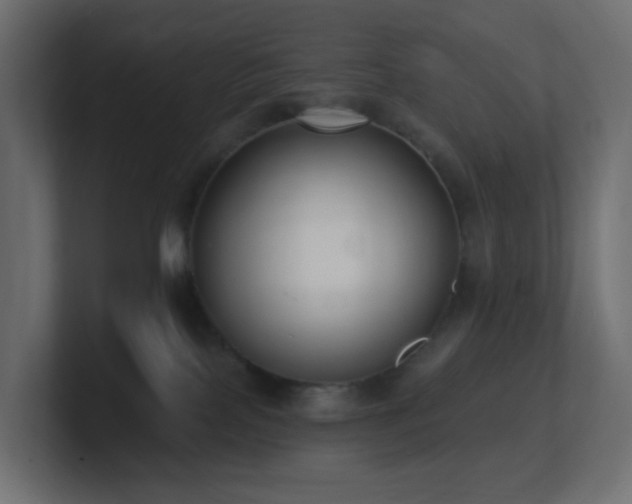 X0000100910089200806241322
