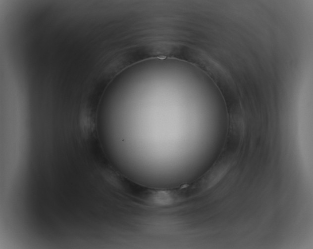 X0000100910091200806241322