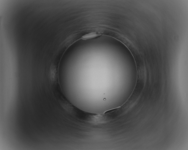 X0000100910092200806241322
