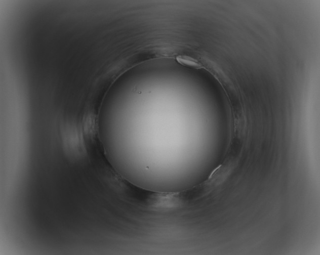 X0000100910093200806241322