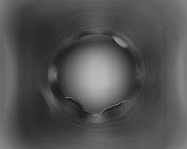 X0000100910095200806241322