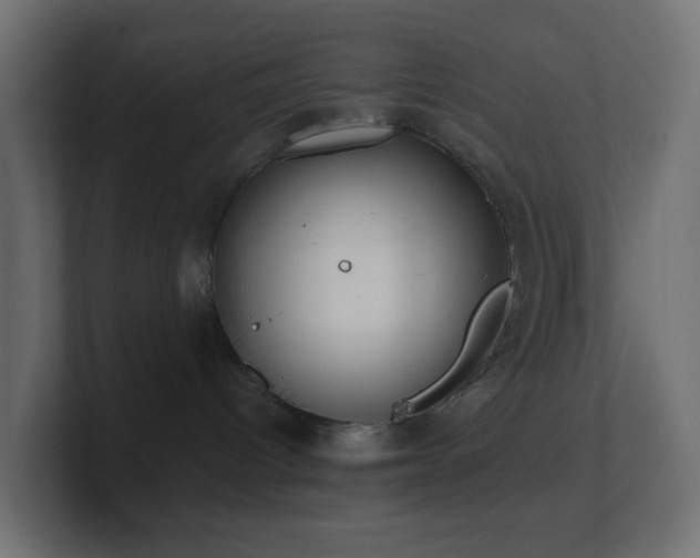 X0000100910096200806241322