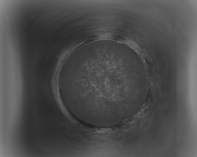 X0000100910097200806241322