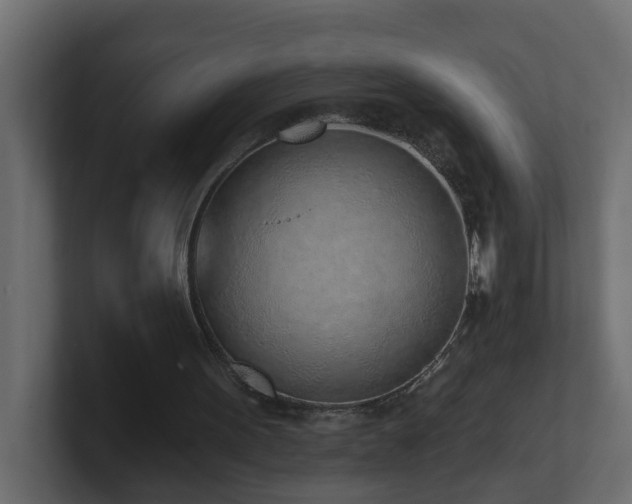 X0000100910099200806241322