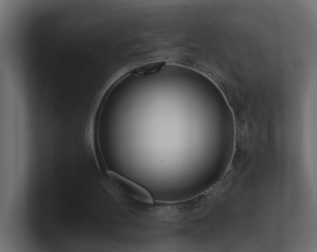 X0000100910100200806241322
