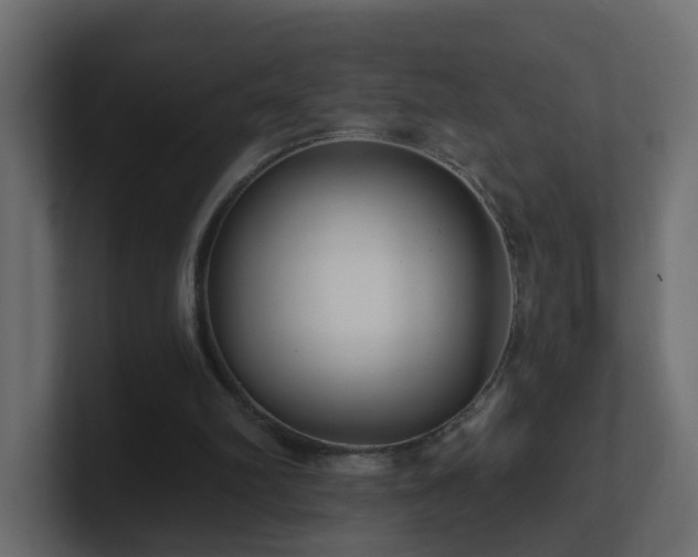 X0000100910102200806241322