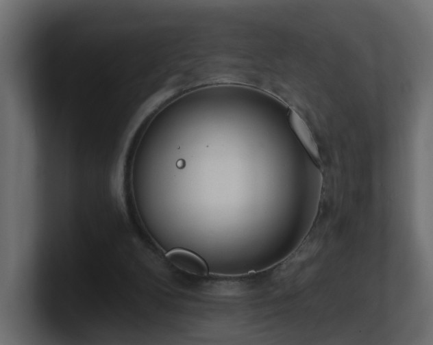 X0000100910104200806241322