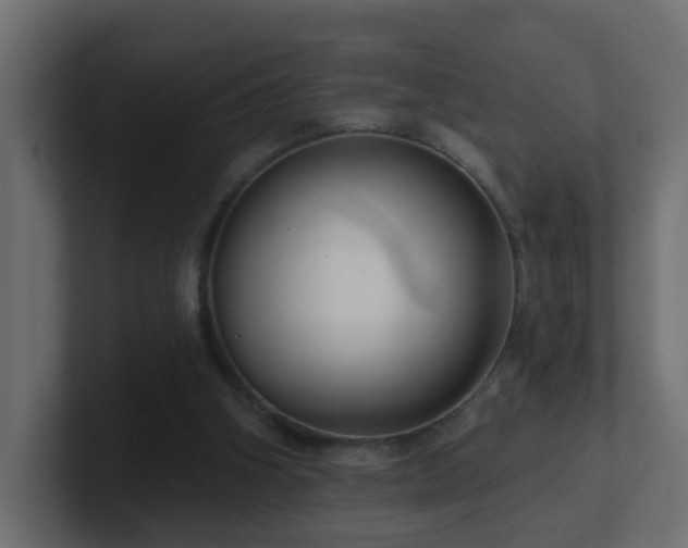 X0000100910106200806241322