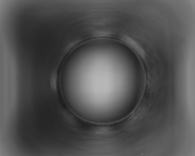 X0000100910107200806241322