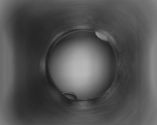 X0000100910108200806241322