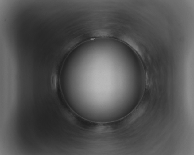 X0000100910109200806241322