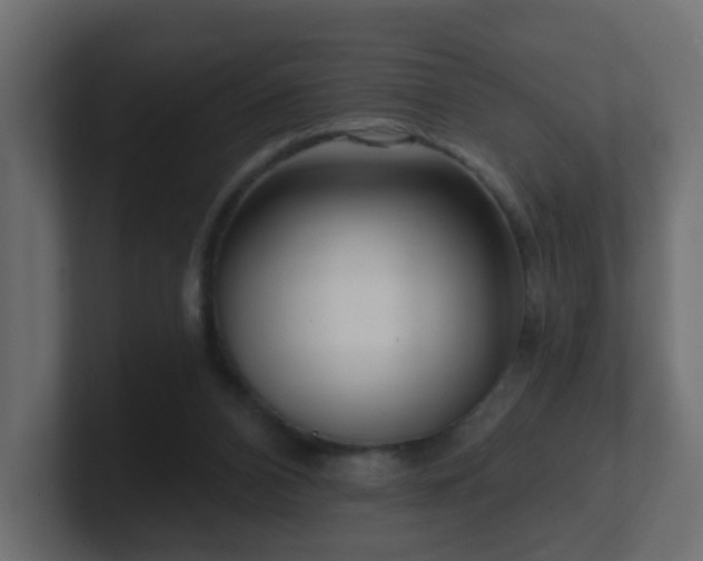X0000100910112200806241321