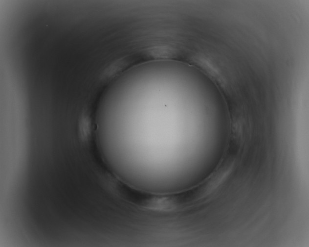 X0000100910117200806241321