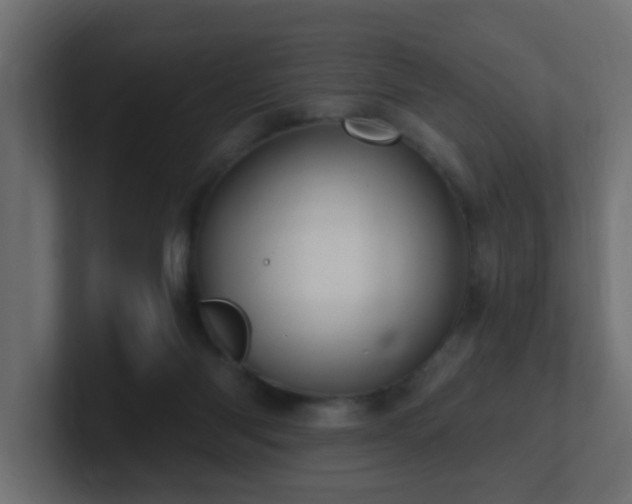X0000100910118200806241321