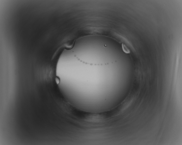 X0000100910123200806241321