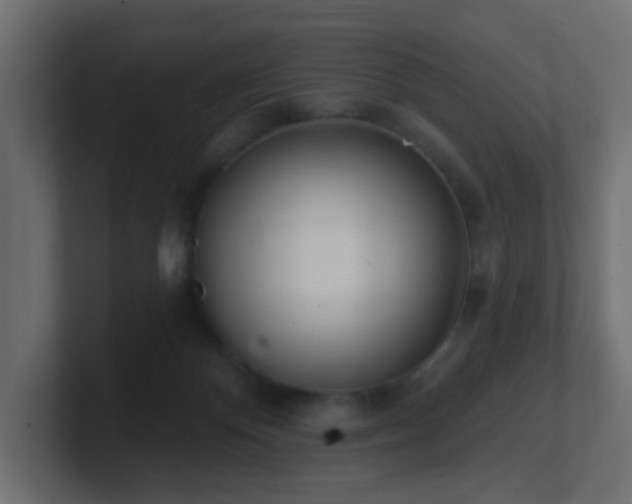 X0000100910124200806241321