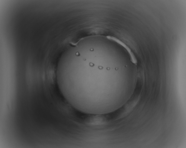 X0000100910127200806241321