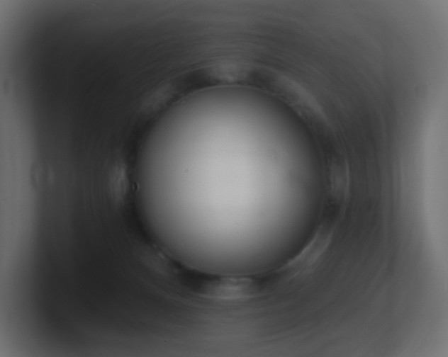 X0000100910128200806241321