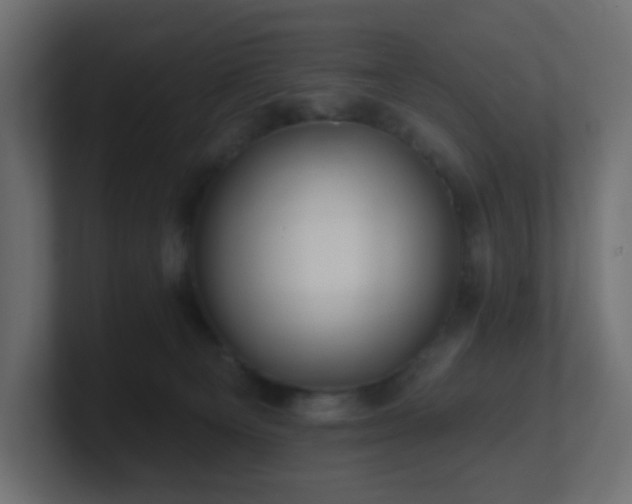 X0000100910129200806241321