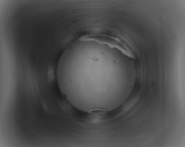 X0000100910131200806241321