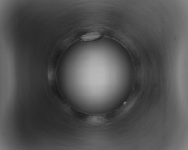 X0000100910137200806241321