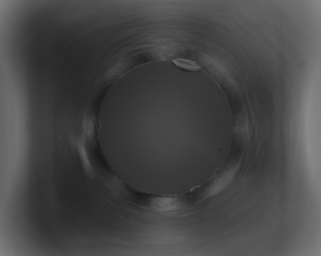 X0000100910139200806241321