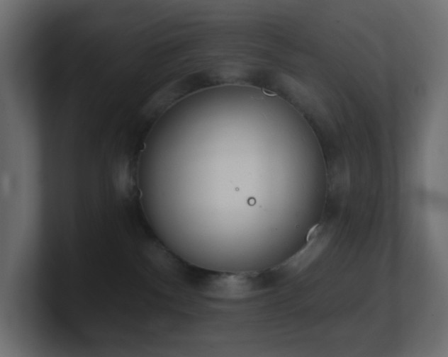 X0000100910140200806241321
