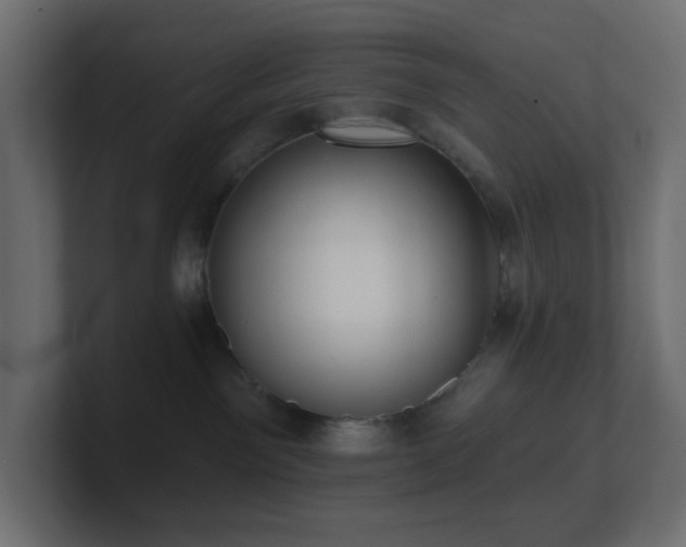 X0000100910141200806241321