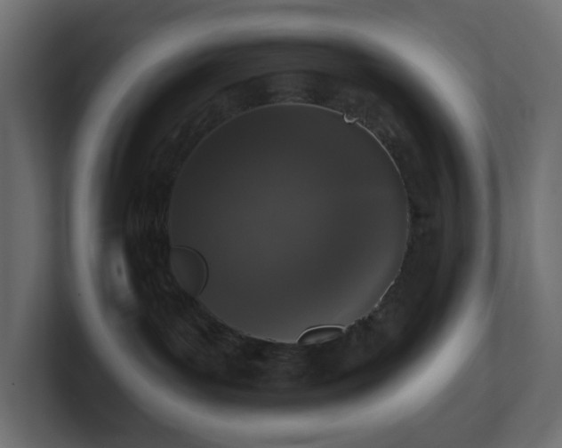 X0000100910143200806241321