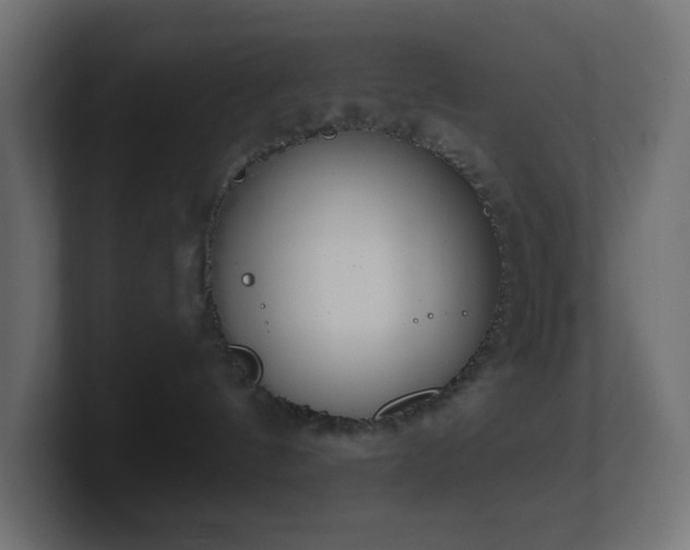 X0000100910144200806241321